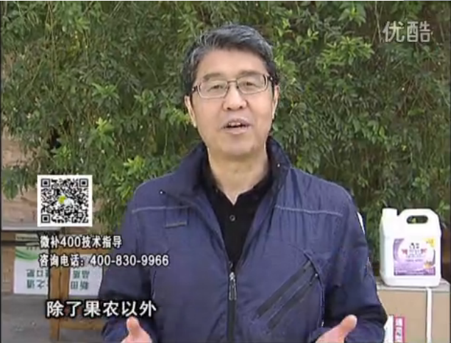 20160321珠江臺(tái)搖錢樹：柑橘用微補(bǔ)方案，百萬收入不是夢(mèng)