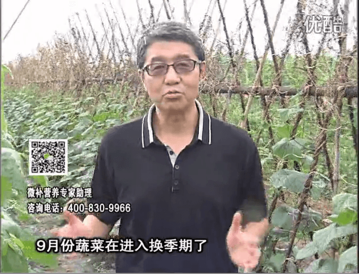 20160926珠江臺搖錢樹：換季蔬菜淋根力鈣精力促根壯長，淋微補(bǔ)調(diào)力調(diào)酸減少病害